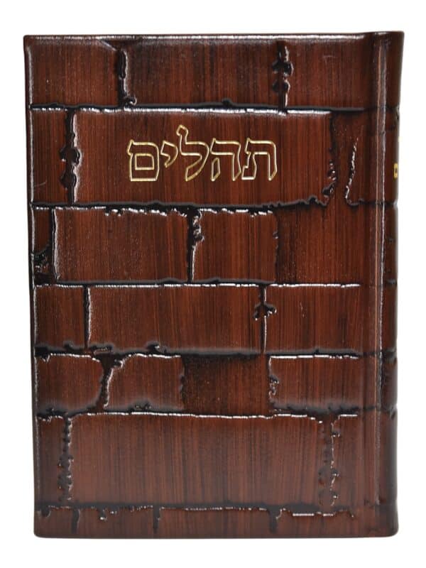 תהילים - ברכי נפשי - בינוני - כותל