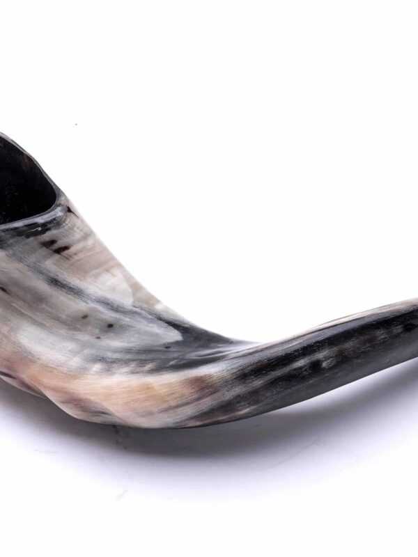 Shofar 5
