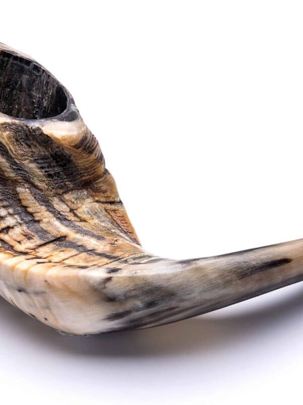 Shofar 6
