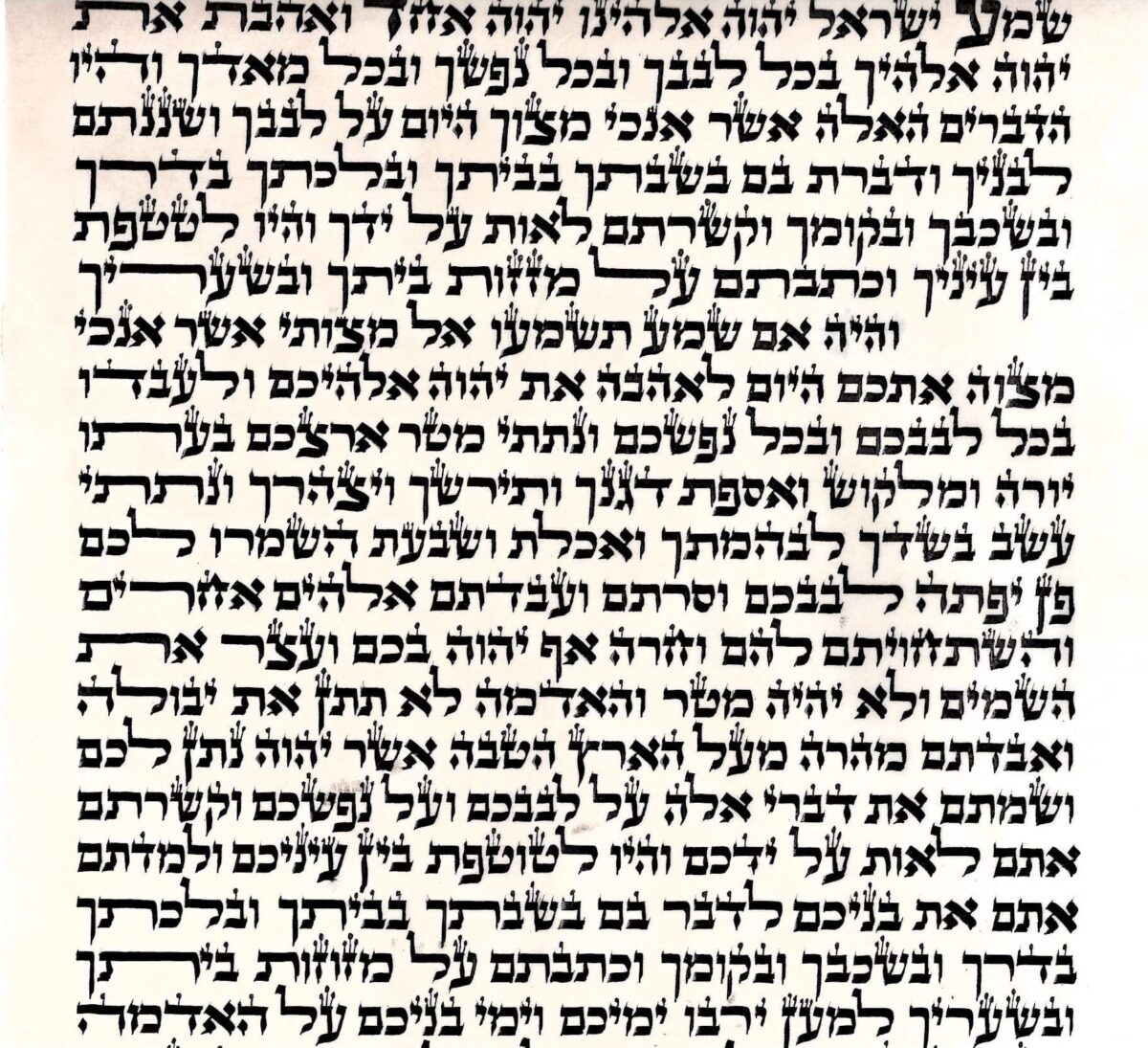 קלף מזוזה גדול – כתב ספרדי – 25 ס"מ  -מהודר